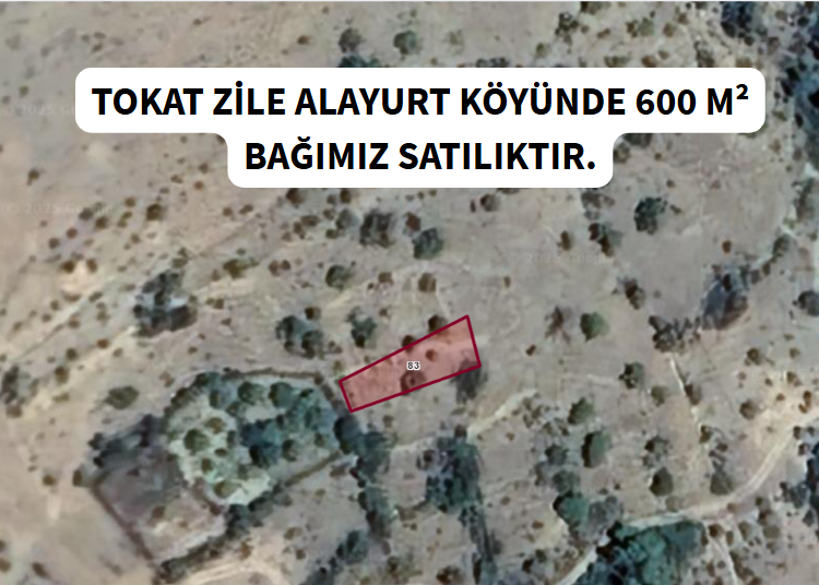 TOKAT ZİLE ALAYURT KÖYÜNDE 600 M² BAĞ SATILIKTIR. - TOKAT ZİLE fotoğraf 7
